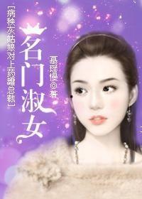 我的名门女总裁,权谋风云，商界传奇