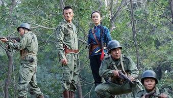 战金岭,烽火岁月里的英雄传奇