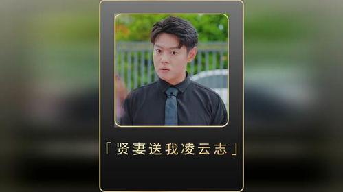 贤妻送我凌云志,凌云志展翅高飞