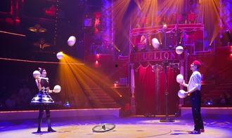 马戏团的新节目,马戏团全新节目惊艳亮相